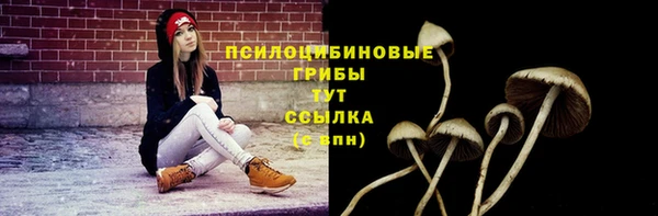 spice Алексеевка