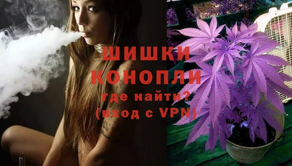 прущие крисы Алзамай