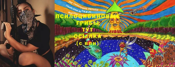 прущие крисы Алзамай