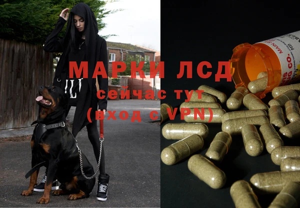 Альфа ПВП Алексин