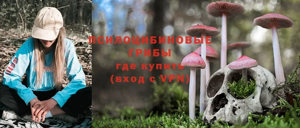 Альфа ПВП Алексин