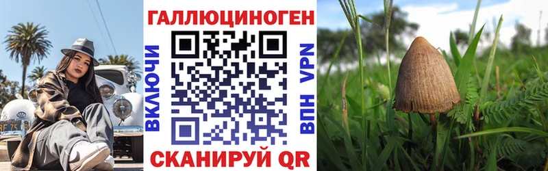 Галлюциногенные грибы прущие грибы  Сорочинск 